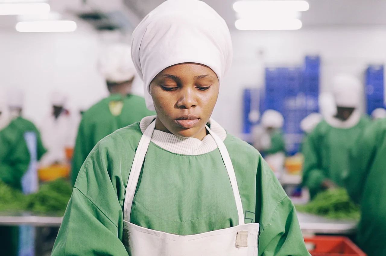 charte-qualite-certification-ifs-brc-visuel-1-naturafrost-signature-vegetale-chefs-surgele charte-qualite-certification-ifs-brc-visuel-1-naturafrost-signature-vegetale-chefs-surgele